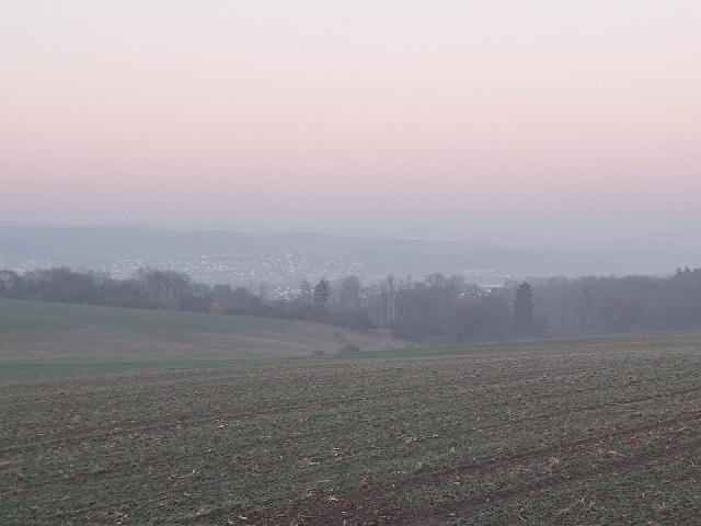 IMG-20250119-WA0007